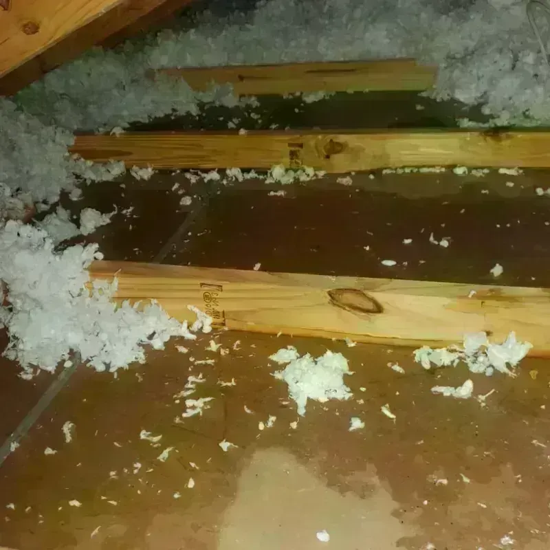 Attic Water Damage in Atwater, CA