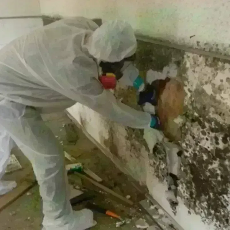 Mold Remediation and Removal in Atwater, CA