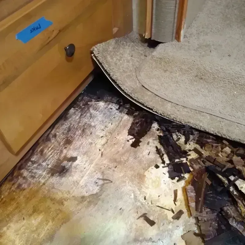 Wood Floor Water Damage in Atwater, CA